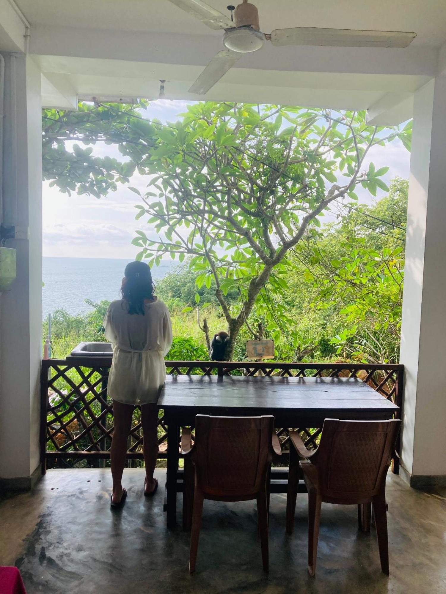 Jungle Beach Restaurant And Hotel-Jbr Galle Eksteriør billede